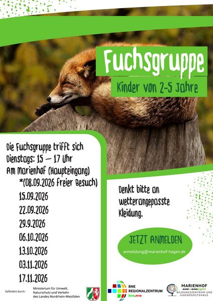 Plakat für Fuchsgruppe am Marienhof: Fuchs schläft auf Baumstumpf