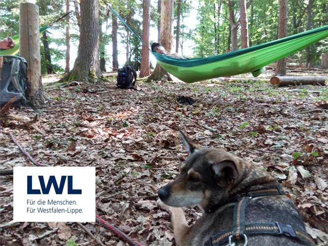 2 Personen liegen in Hängematten im Wald, ein Hund liegt im Vordergrund. Links unten: Logo LWL - Für die Menschen. Für Westfalen-Lippe.
