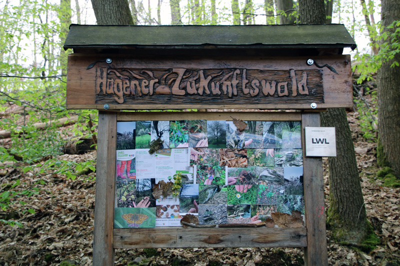 Schautafel Hagener Zukunftswald am Marienhof mit vielen Fotos und Infos